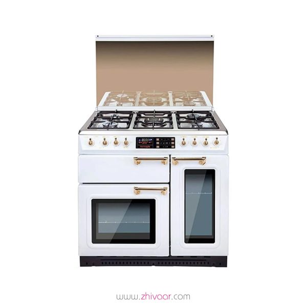 قیمت اجاق گاز تاکنوگلد مدل FR-6931-CC-GOLD-L