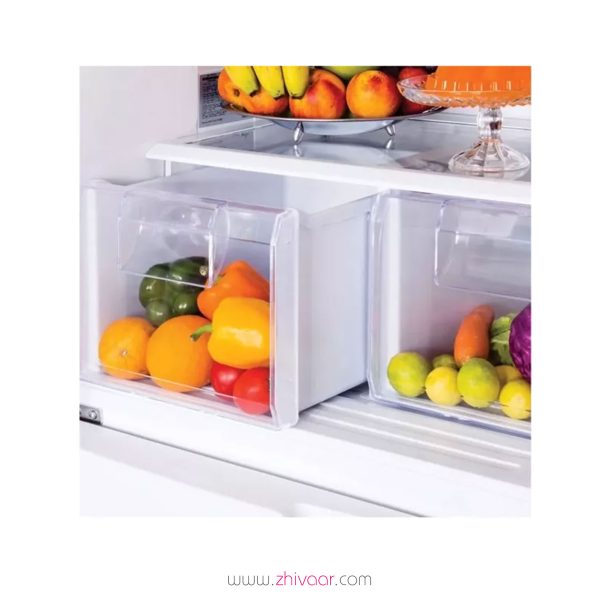 يخچال فريزر تاکنوگلد مدل TG540 ژیوار
